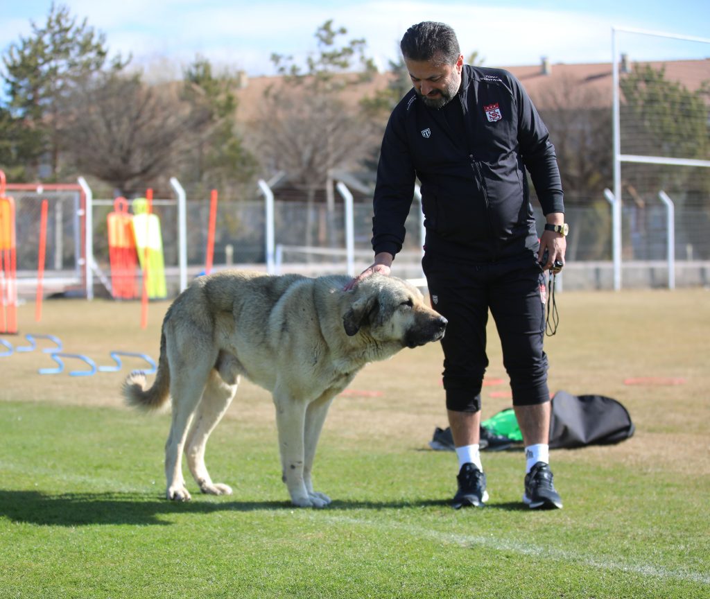 Sivasspor Hatay Maçına Hazır